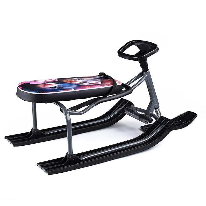 Фото к товару Игрушка Снегокат детский 501 "TANDEM" разборный для двоих со складной спинкой (Хорьки) Игрушка Снегокат детский 501 "TANDEM" разборный для двоих со складной спинкой (Хорьки)