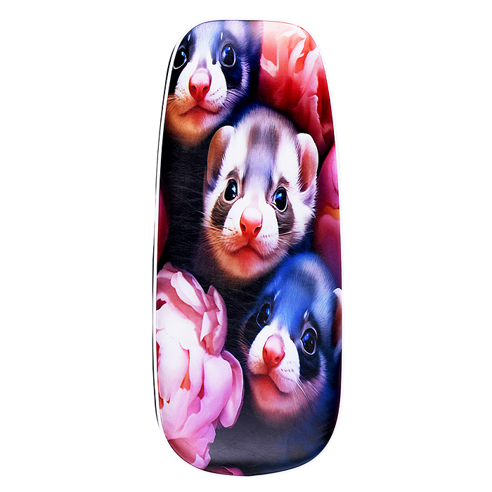 Фото к товару Игрушка Снегокат детский 501 "TANDEM" разборный для двоих со складной спинкой (Хорьки) Игрушка Снегокат детский 501 "TANDEM" разборный для двоих со складной спинкой (Хорьки)