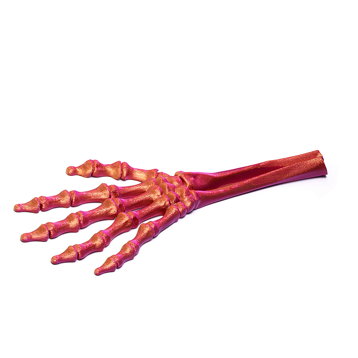 Фото к товару Игрушка-антистресс 00-7152 "Скелет руки" Игрушка-антистресс 00-7152 "Скелет руки"