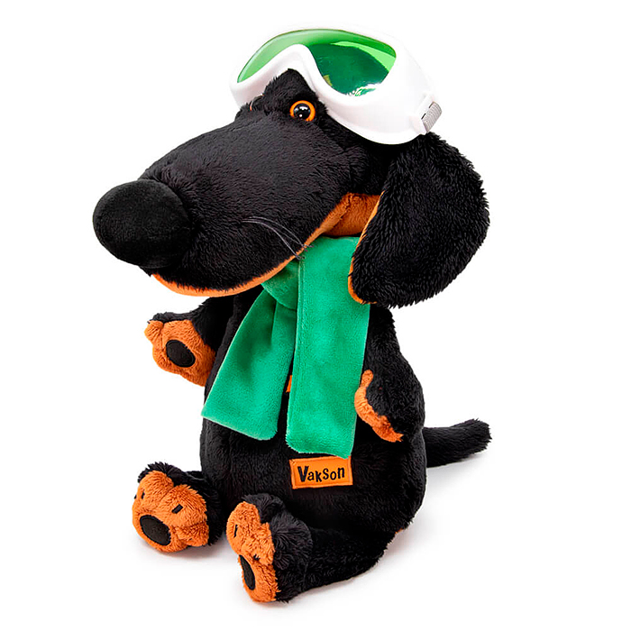 Собака Ваксон в горнолыжных очках