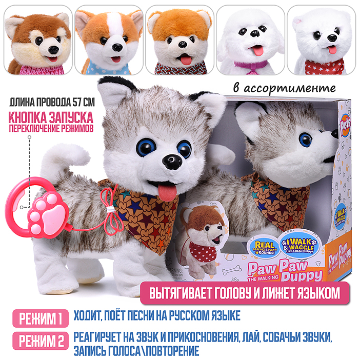 Собака 00-6825 "Боня" (может говорить, ходит, записывает) в коробке Собака 00-6825 "Боня" (может говорить, ходит, записывает) в коробке