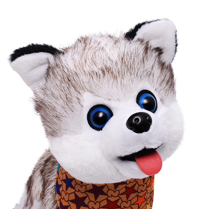 Собака 00-6825 "Боня" (может говорить, ходит, записывает)  в коробке