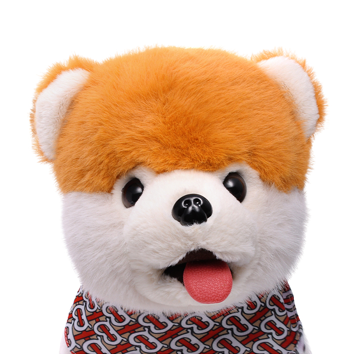 Собака 00-6825 "Боня" (может говорить, ходит, записывает)  в коробке