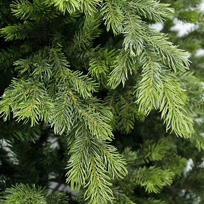 Ель искусственная "Emerald" зеленая 1,8 м