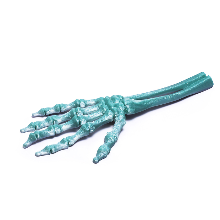 Фото к товару Игрушка-антистресс 00-7151 "Рука" Игрушка-антистресс 00-7151 "Рука"