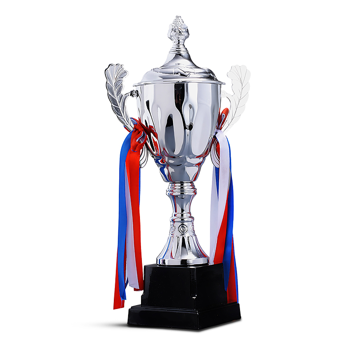 Фото к товару Кубок спортивный 00-6981 металл (29 см) Кубок спортивный 00-6981 металл (29 см)