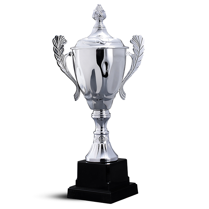 Фото к товару Кубок спортивный 00-6981 металл (29 см) Кубок спортивный 00-6981 металл (29 см)