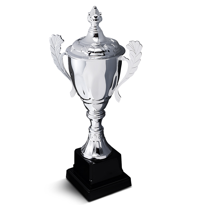 Фото к товару Кубок спортивный 00-6981 металл (29 см) Кубок спортивный 00-6981 металл (29 см)