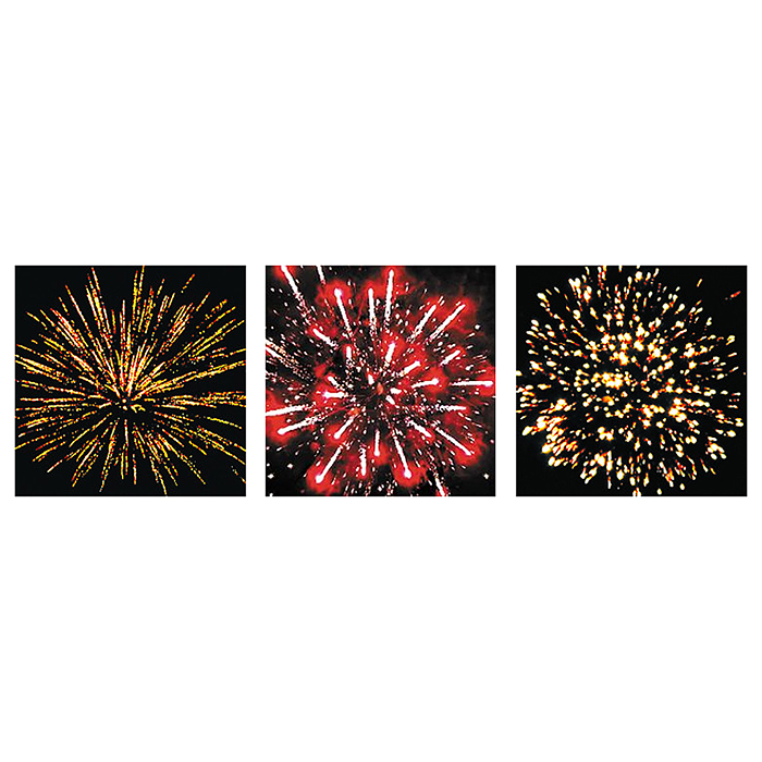 Римская свеча "Гепард" (0,8" х 5 залп.) * в кор. 20 уп. х 4 шт. Срок до 15.01.30