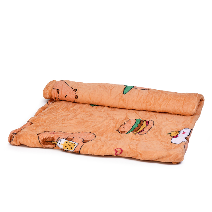 Мягкая игрушка "Капибара" М1579 с пледом