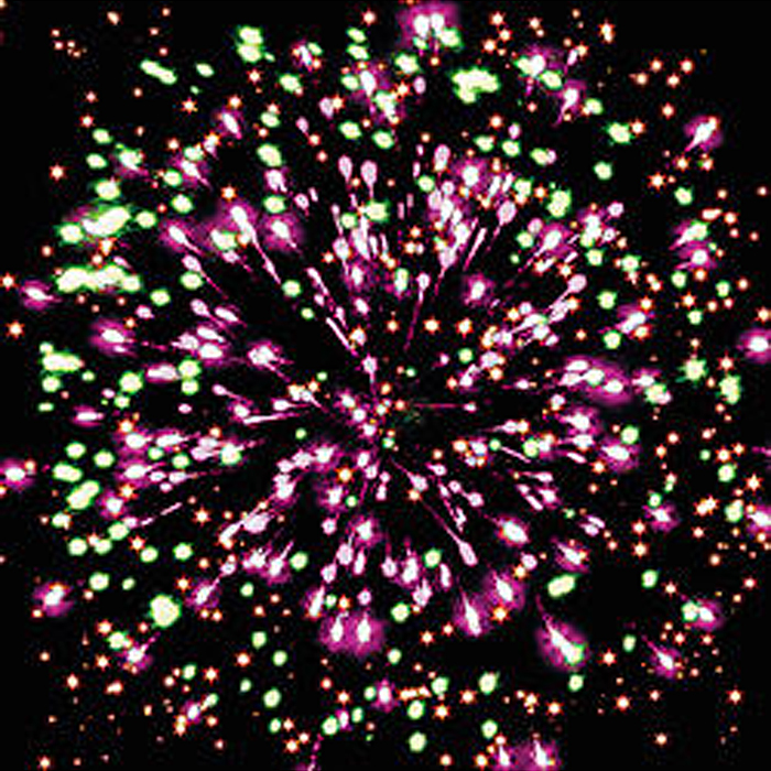 Фото к товару Батарея салютов "Сафари" (0,6" х 36 залп.) Батарея салютов "Сафари" (0,6" х 36 залп.)