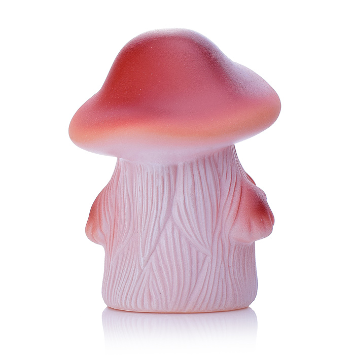 Гриб Боровик 