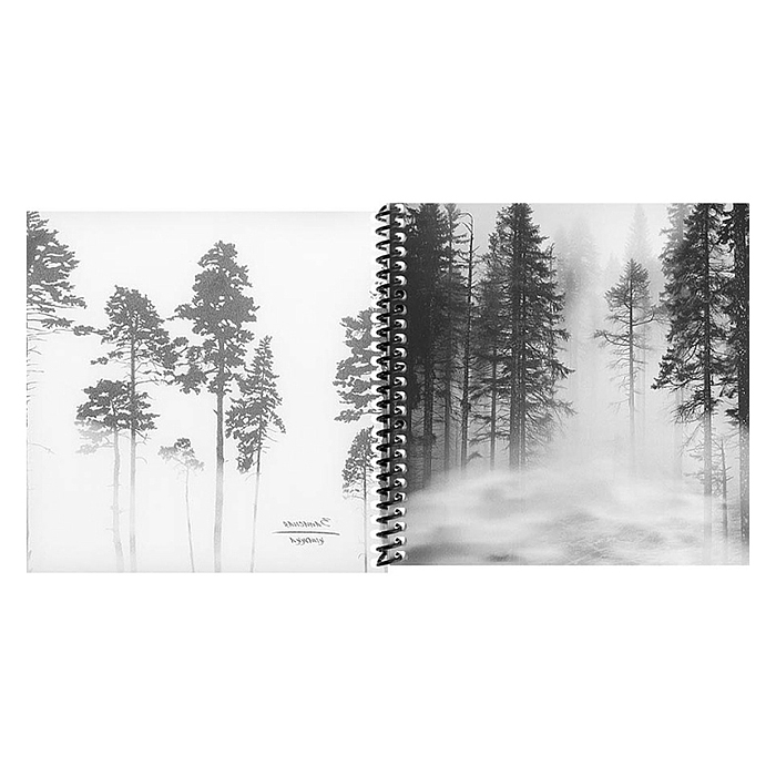 Записная книжка 48л. "Лес в тумане" 158х158см. пластиковая обложка, цв.спираль