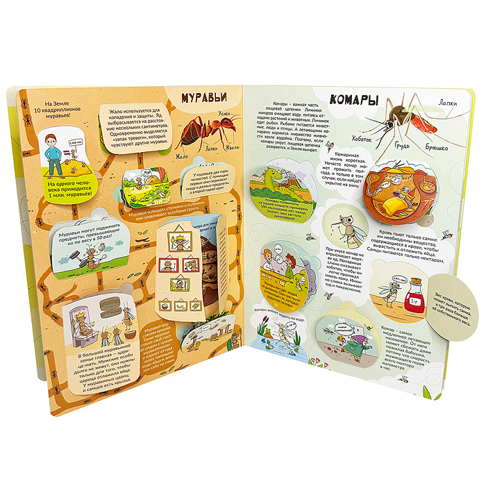 Энциклопедия с окошками (ЦК) Моя первая книга о насекомых