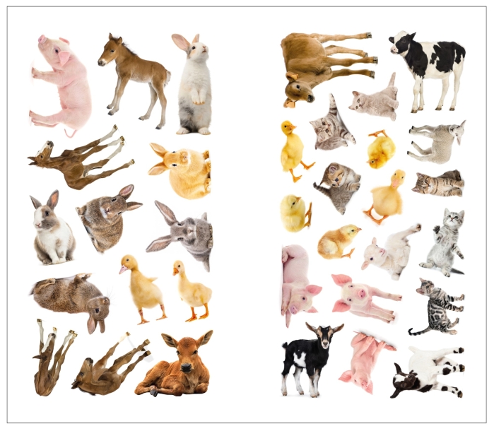 Фотонаклейки. В деревне