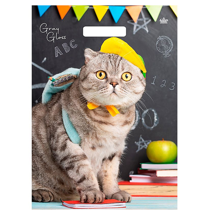 Пакет "Грэй Глосс Кот" вырубной ламинированный (430х315х50) Пакет "Грэй Глосс Кот" вырубной ламинированный (430х315х50)