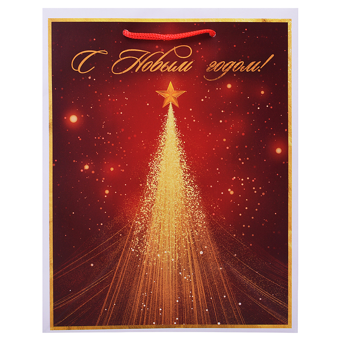 Бумажный пакет для сувенирной продукции с ламинацией,с шириной основания 17,8 cм. Бумажный пакет для сувенирной продукции с ламинацией,с шириной основания 17,8 cм.