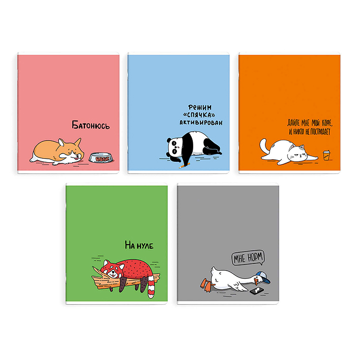 Тетрадь 48 л, клетка "Герои с характером" А5+, мягкий переплёт (2 скобы)