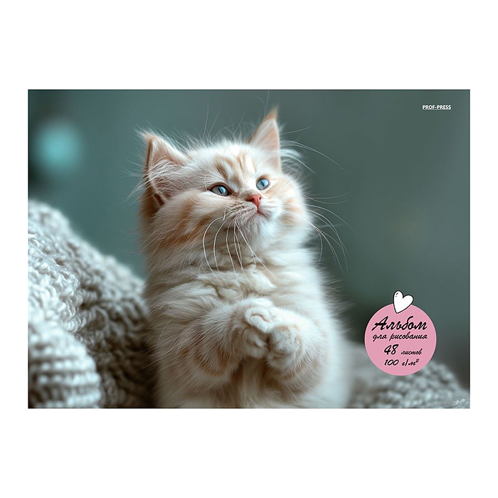 Альбом для рисования А4 48л. "Маленький забавный кот" Альбом для рисования А4 48л. "Маленький забавный кот"