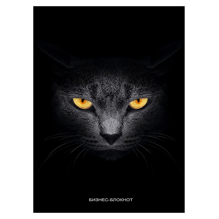 Бизнес-блокнот 160л. "Кот с жёлтыми глазами" 7БЦ, глянц. ламинир-ие, цвет. мелов. обл. А5