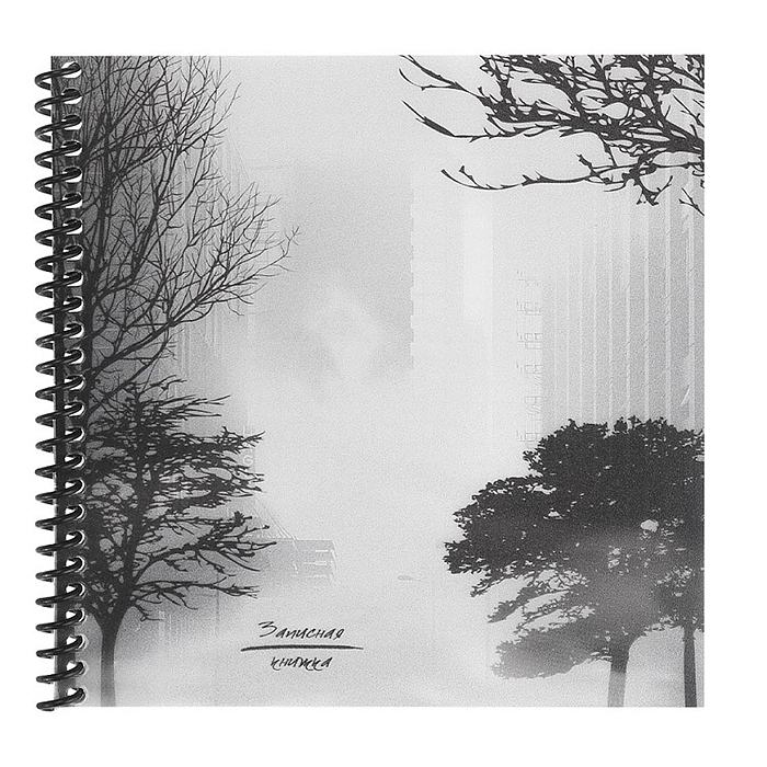 Записная книжка 48л. "Город в тумане" 158х158см. пластиковая обложка, цв.спираль