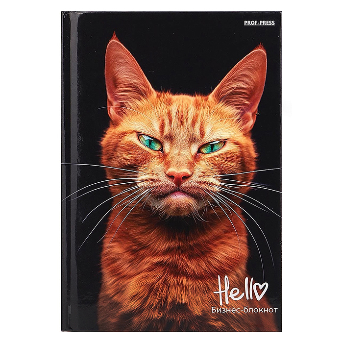 Бизнес-блокнот 80л. "Рыжий котик-1" А6, 7БЦ, глянц.ламинир., цвет.мелов.обл.