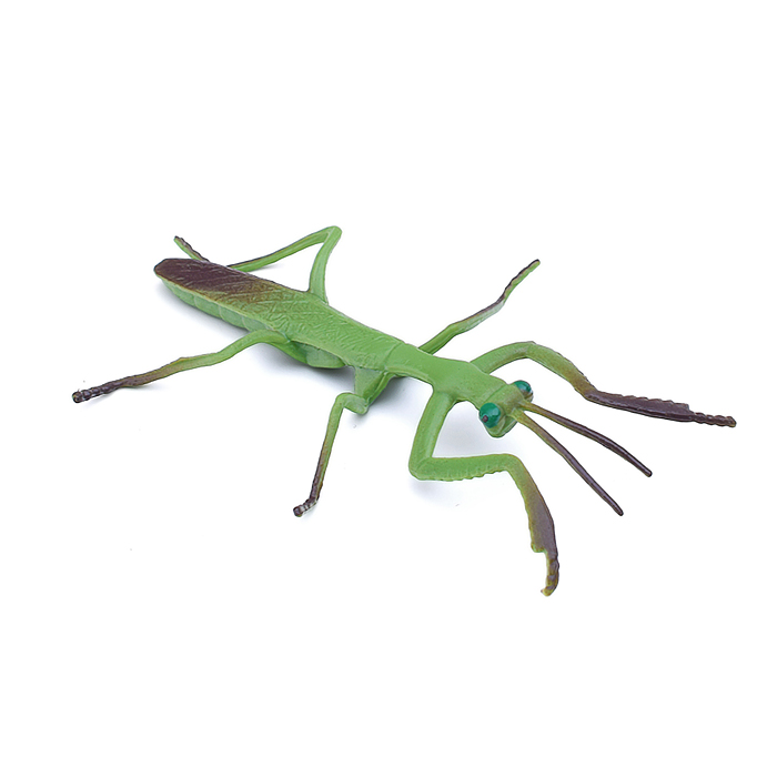 Фото к товару Насекомое JS20-6 в ассортименте, в коробке Насекомое JS20-6 в ассортименте, в коробке