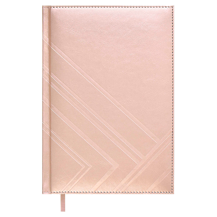 Ежедневник недатированный Escalada, #Илон Маск, А5, 160 л., Сариф эконом золотисто-бежевый