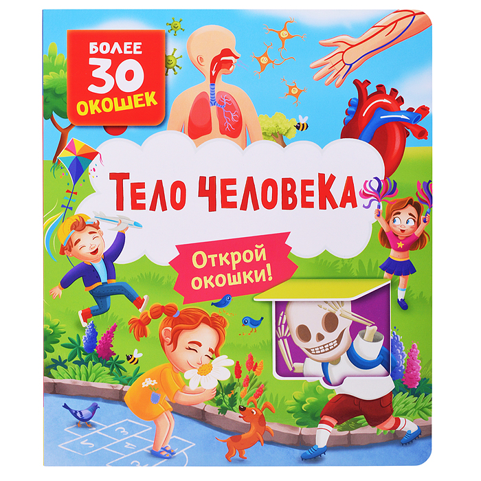 Книги с окошками. Тело человека Книги с окошками. Тело человека