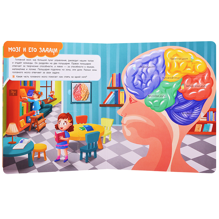 Книги с окошками. Тело человека