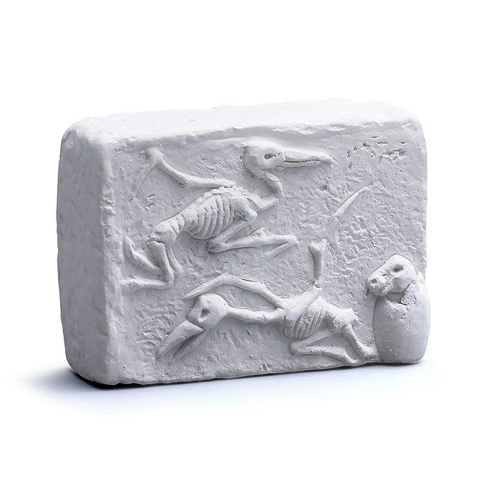 Раскопки UT0277-3 "Раскопки юного археолога" в коробке