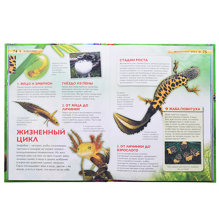 Детская энциклопедия Большой подарок. 