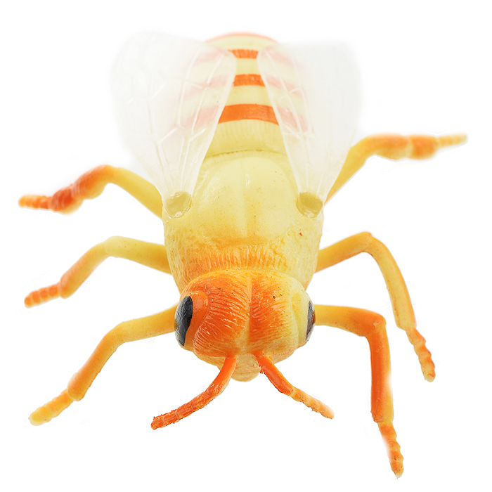 Фото к товару Набор животных "Насекомые" 10шт. в пакете Набор животных "Насекомые" 10шт. в пакете