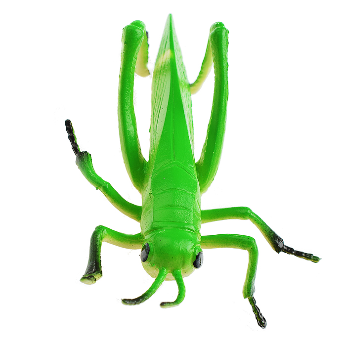 Фото к товару Набор животных "Насекомые" 10шт. в пакете Набор животных "Насекомые" 10шт. в пакете