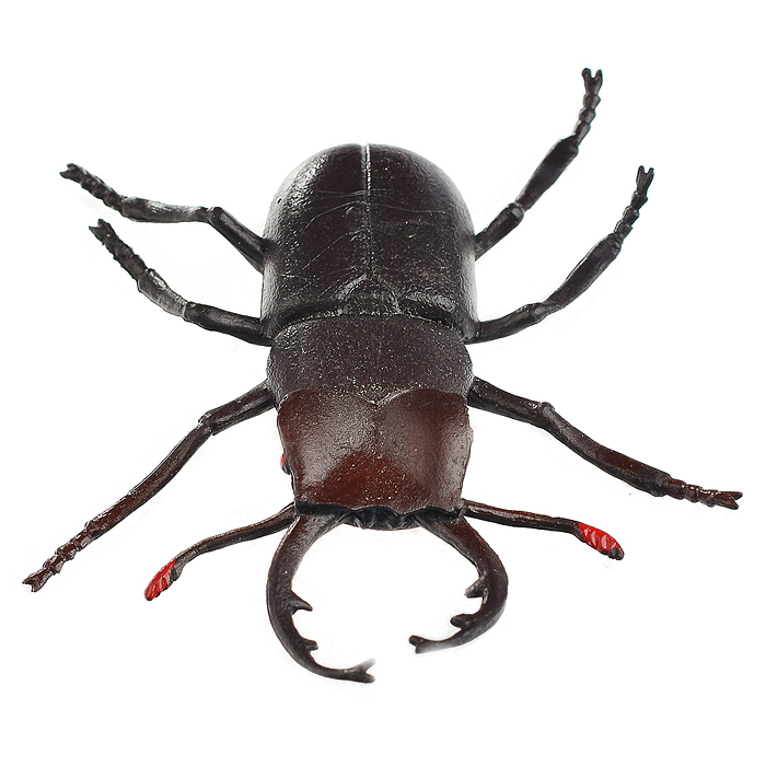 Фото к товару Набор животных "Насекомые" 10шт. в пакете Набор животных "Насекомые" 10шт. в пакете