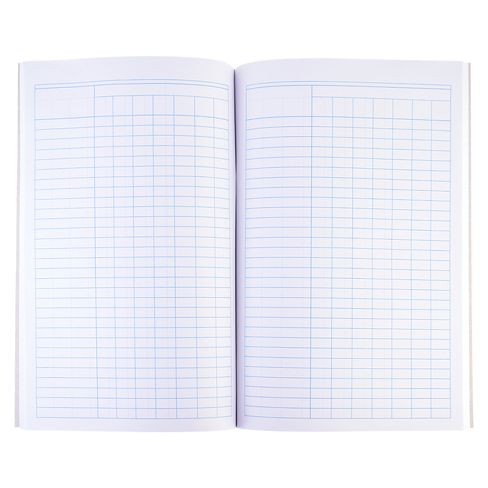 Книга учета бухгалтерская A4, 96 л пустографка, офсет 55-60 г/м², 90% белизна, обложка из немелованн