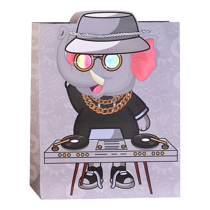 Пакет подарочный 00-7449 "Зверёк в очках" 26*32*10см