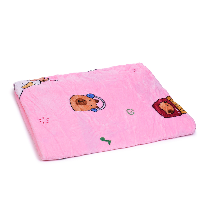 Мягкая игрушка "Капибара" М1578 с пледом