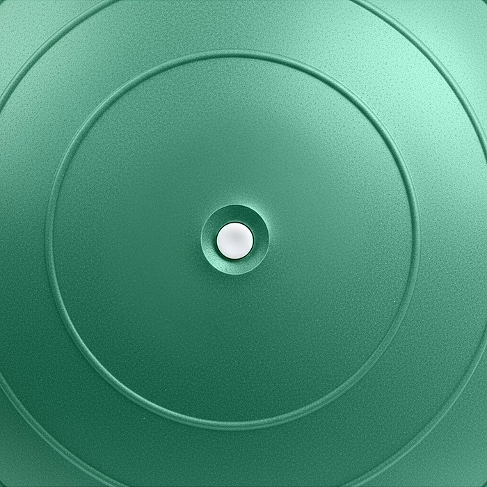 Фото к товару Фитбол 50см ROCKET R0216 Антивзрыв, цвет зелёный (50-55см 600г) Фитбол 50см ROCKET R0216 Антивзрыв, цвет зелёный (50-55см 600г)