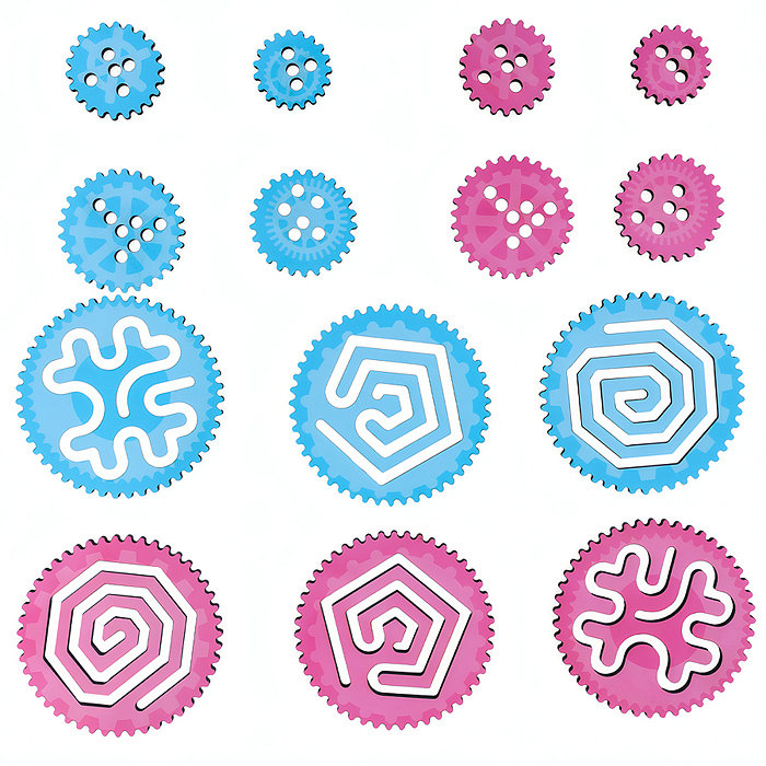 Игра развивающая деревянная "Спирограф. Развиваем мозг" (Нейропсихологический тренажер)