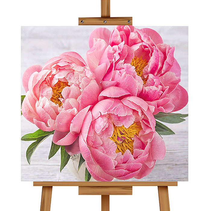 Мозаика алмазная MKA2020-19 "Пионы" 20*20см.