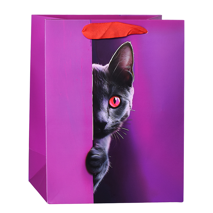 Пакет подарочный "Любопытный кот" ламинированный 18х23см, 210гр/м2 Пакет подарочный "Любопытный кот" ламинированный 18х23см, 210гр/м2