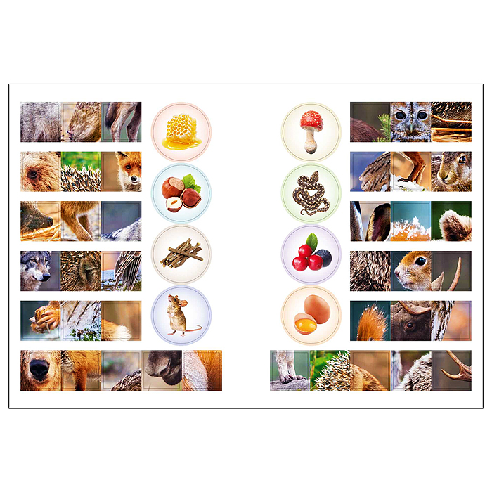 Фото к товару Мир животных с наклейками. Кто живёт в лесу? Мир животных с наклейками. Кто живёт в лесу?