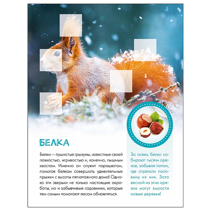 Фото к товару Мир животных с наклейками. Кто живёт в лесу? Мир животных с наклейками. Кто живёт в лесу?