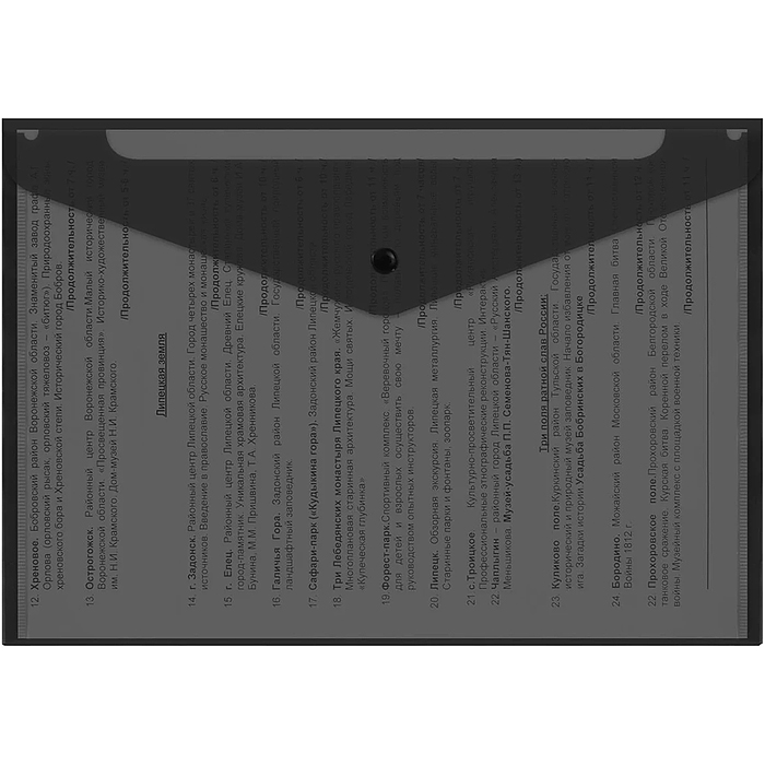 Папка-конверт с кнопкой прозрачная А4 до 100 л, черная, 0,15 мм "Universal"