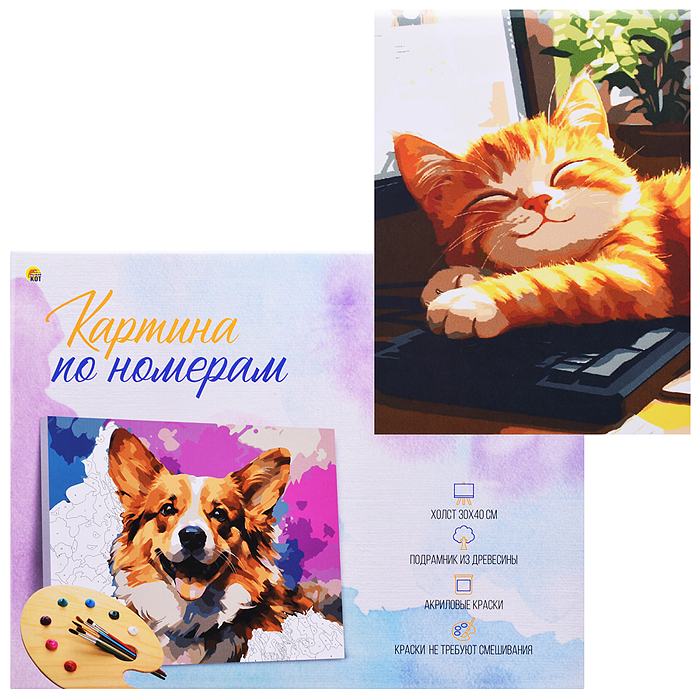 Холст с красками 30x40 по номерам "Спящий милый котик" в коробке (30цв.)  