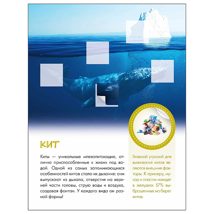 Мир животных с наклейками. Кто живёт под водой?