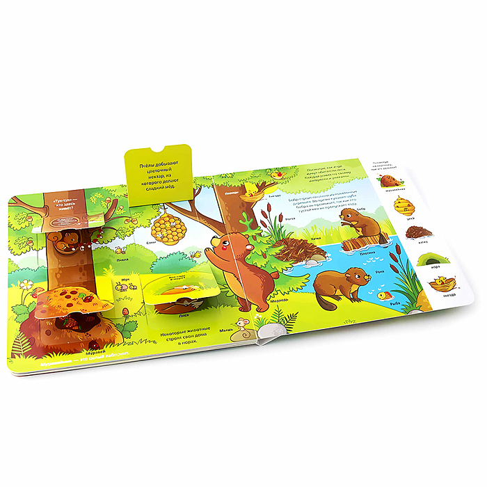 Мои первые слова. Лес: книжка с окошками