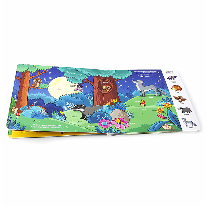 Мои первые слова. Лес: книжка с окошками