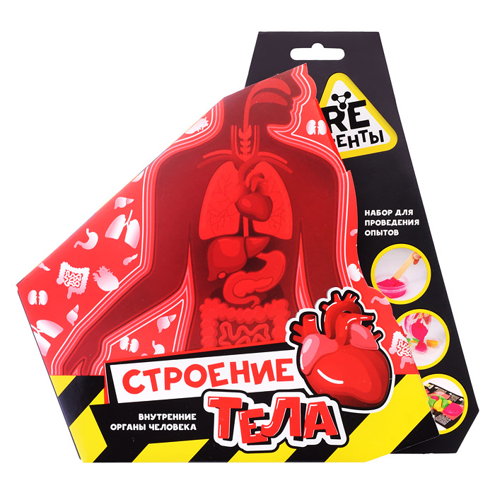 Научно-познавательный набор "Строение тела"